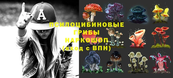 гидра Лиски