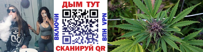 Бошки Шишки конопля Хасавюрт